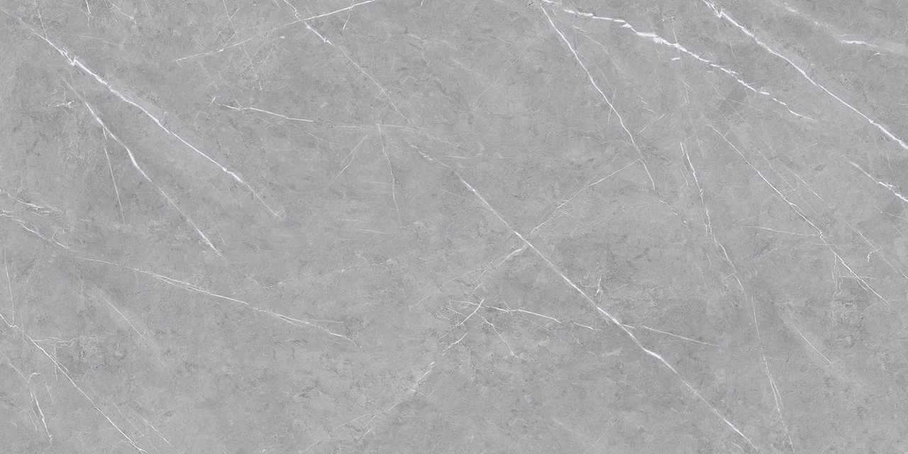 Alegre Grey Matt 60x120