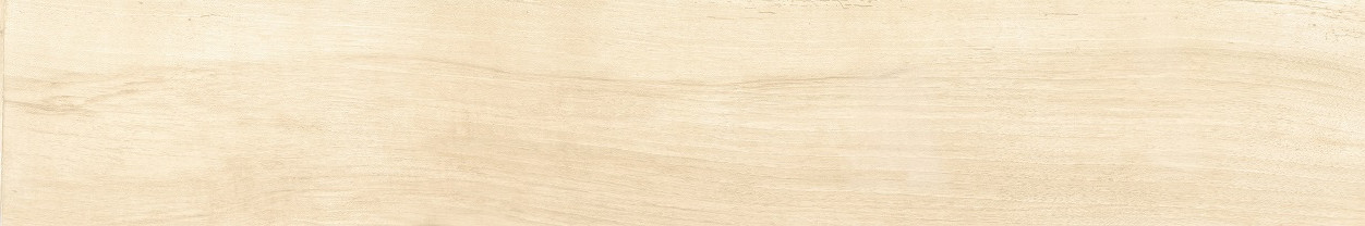 Antique Ivory Fondi Nat. Rettificat 20x120