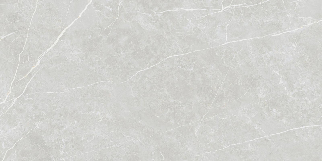 Elite Silver Matt 60x120
