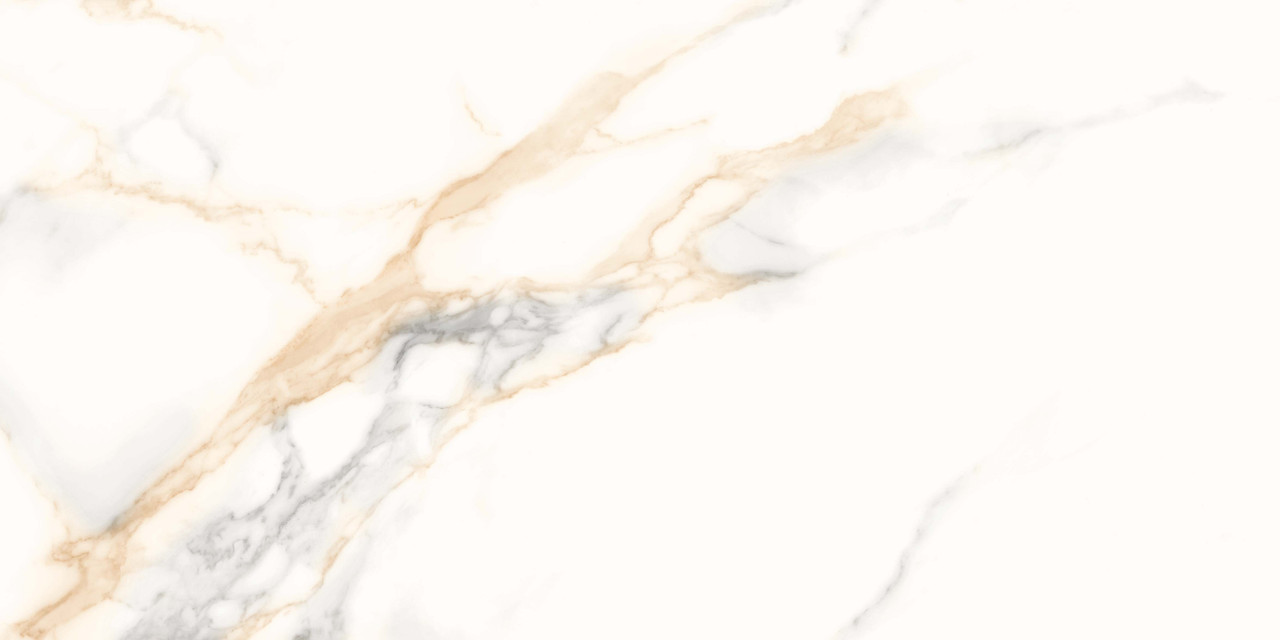 Calacata Gold Matt 60x120