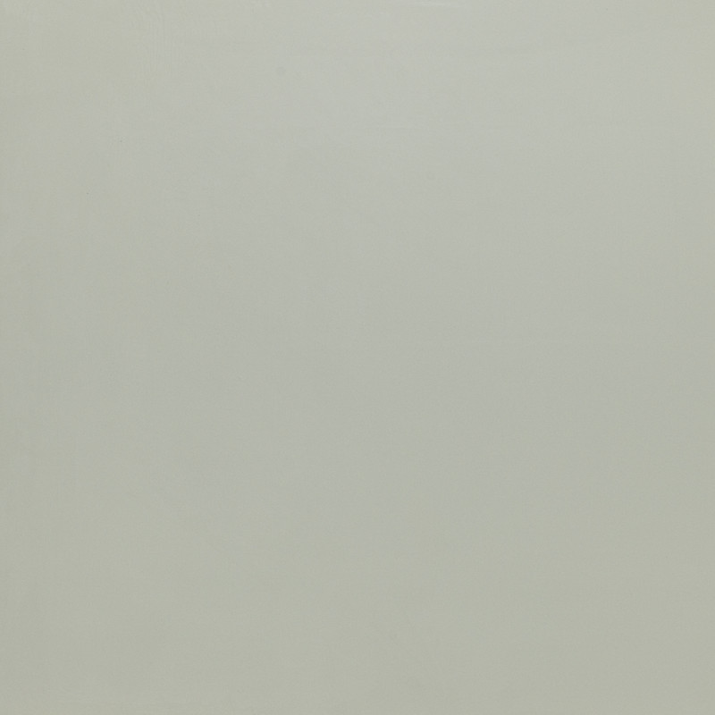 Aldern Levigato 60x60