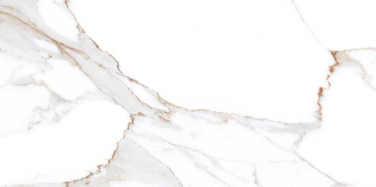 Alex Calacatta Polished 60x120