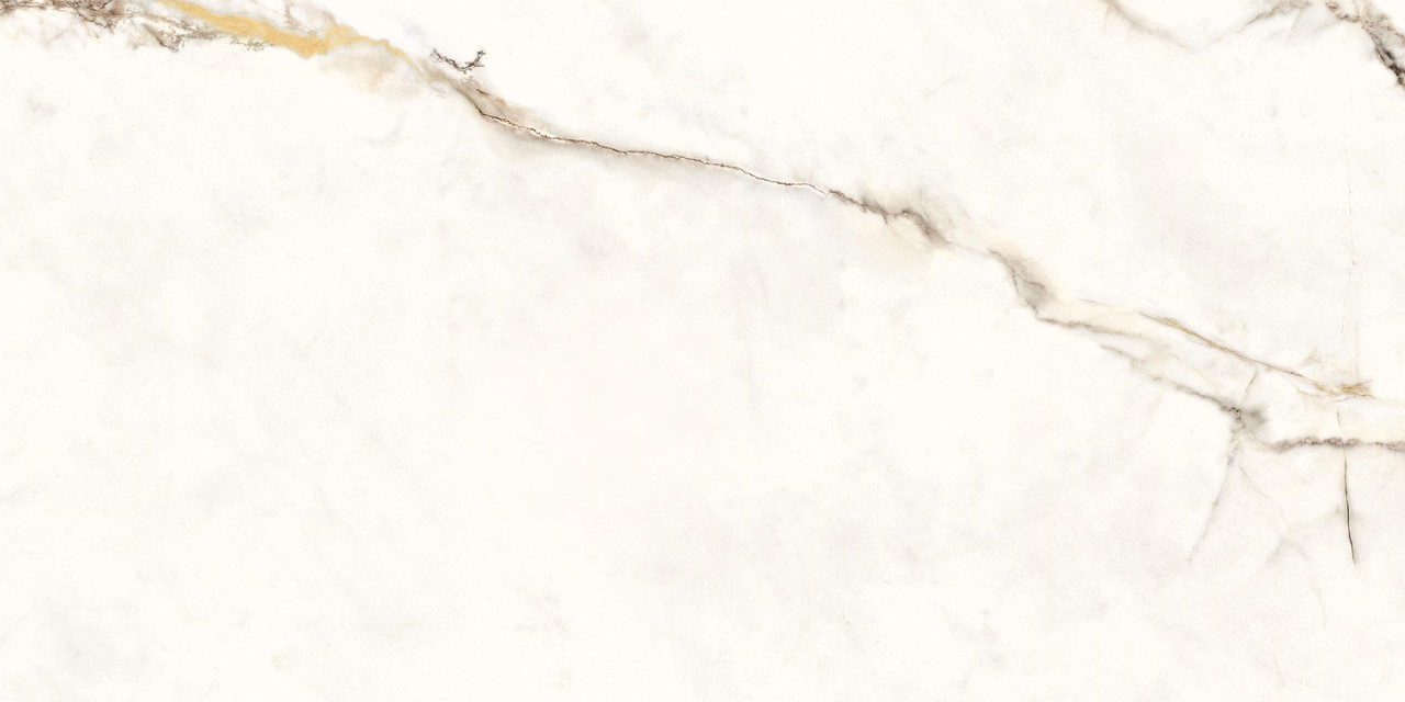 Calacatta Gold Levigato 60x120