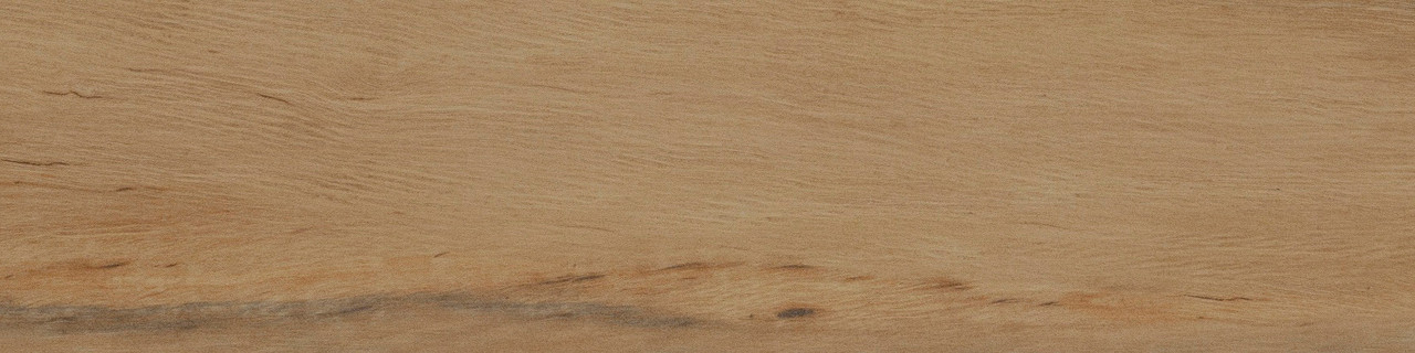 Leccio Oliato (I Lecci) 10x40