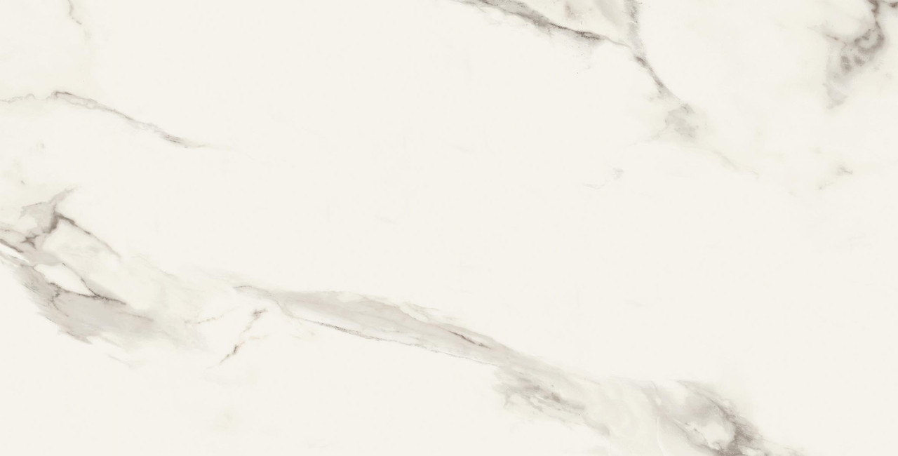 Calacatta Levigato 60x120