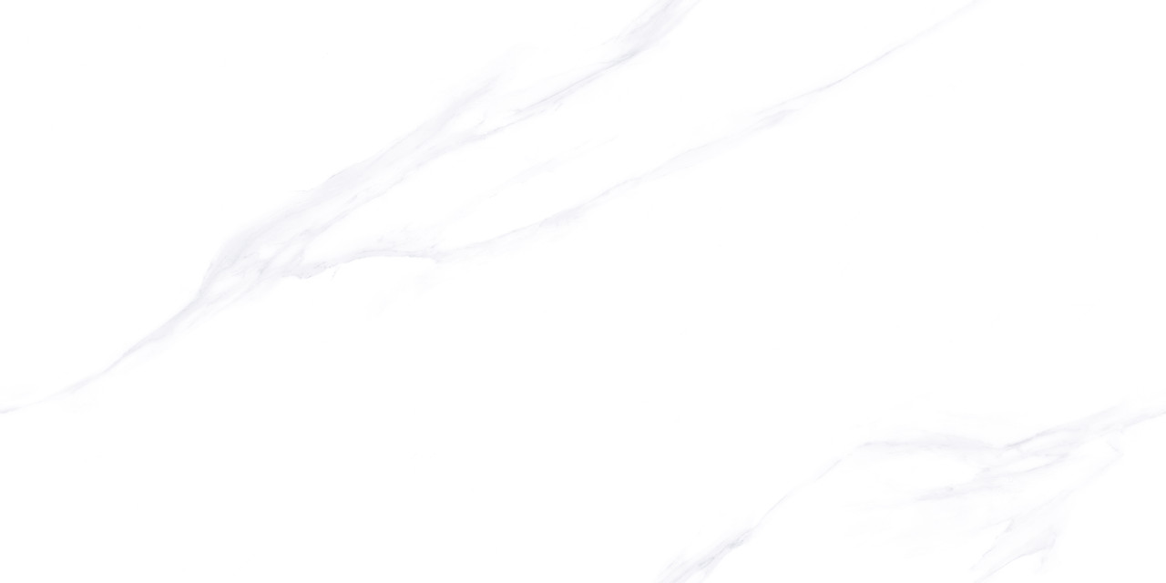 Laconic Calacatta Levigato 60x120