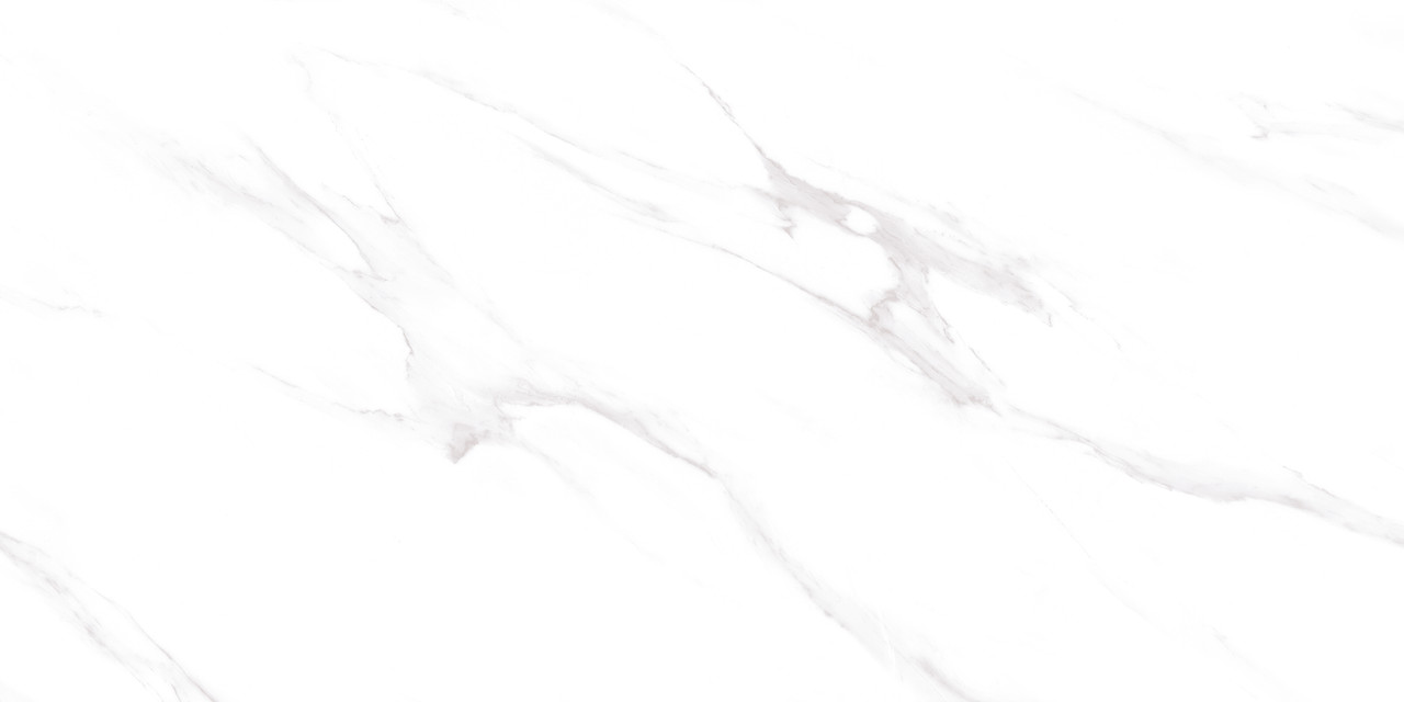 Danby Marble Matt 60x120