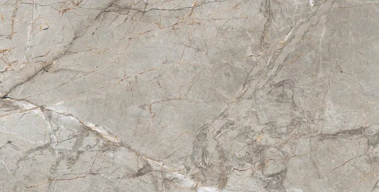 Carnica Grey Polished Rectificado 60x120