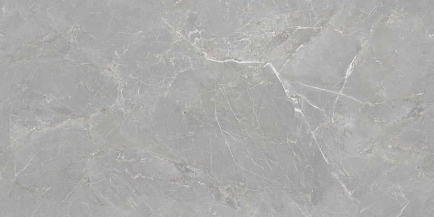 Fior di Bosco Silver Rectificado 60x120