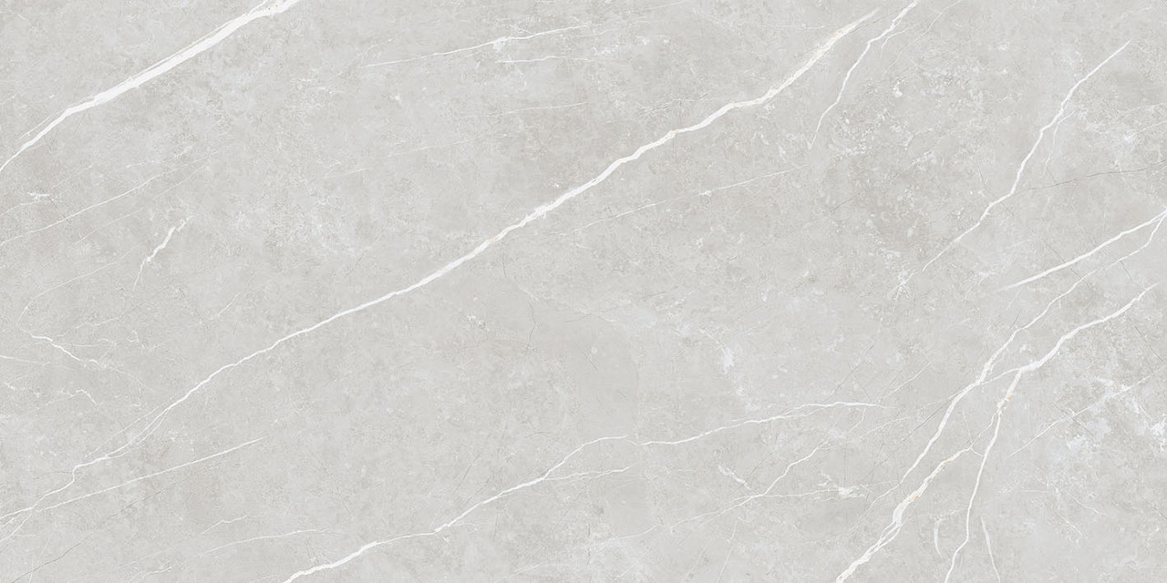 Elite Silver Pul 60x120