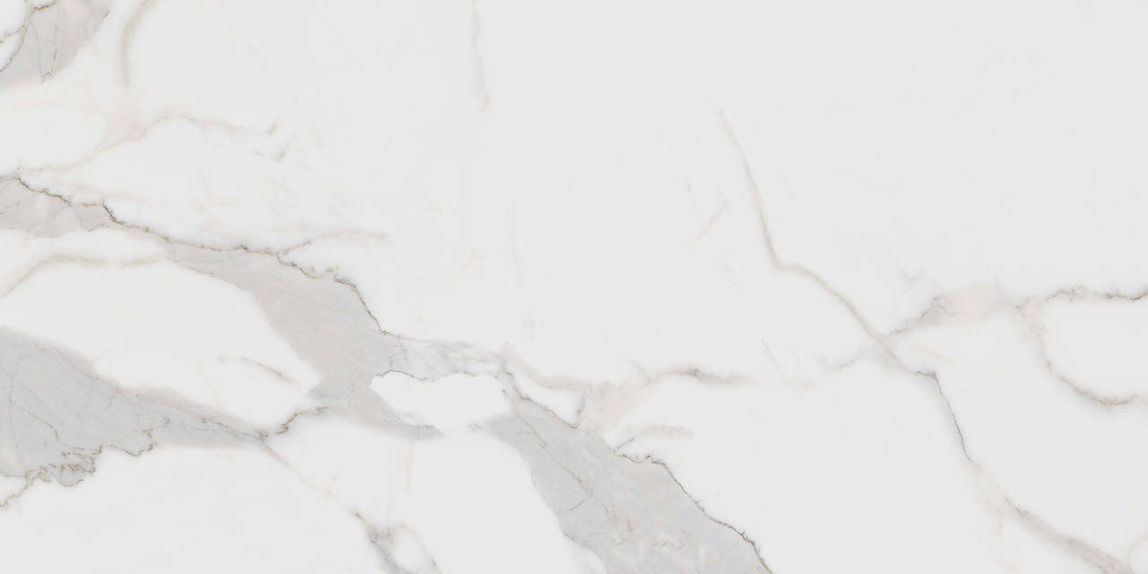 Calacata Silver Matt 60x120