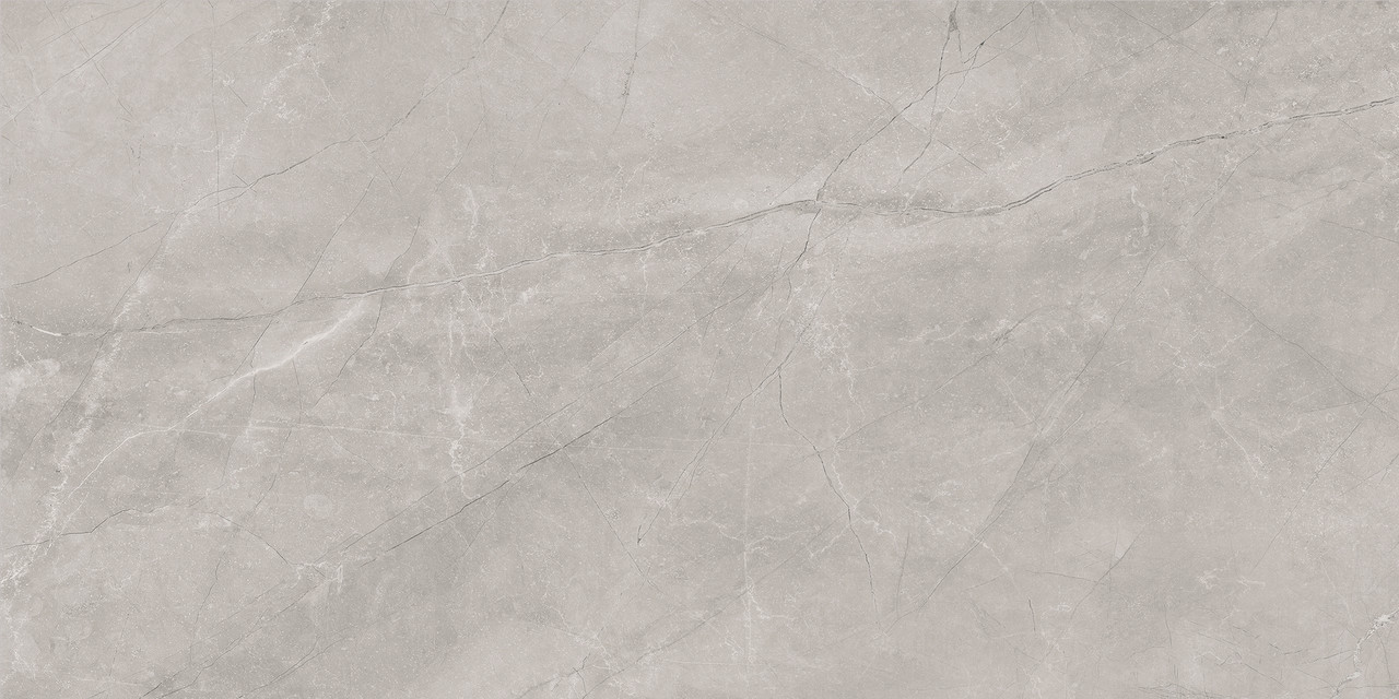 Bayona Silver Natural 60x120