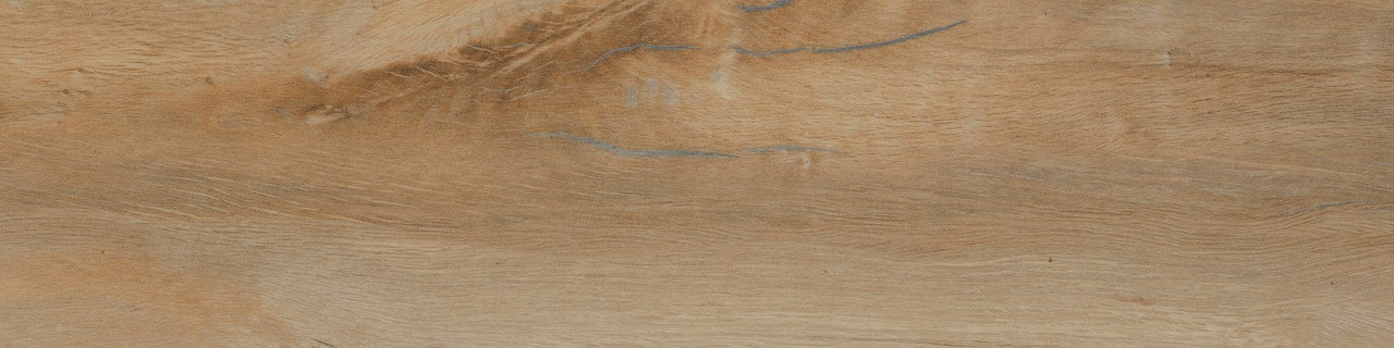 Leccio Classico (I Lecci) 10x40