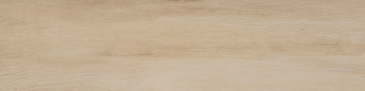 Leccio Gentile (I Lecci) 10x40