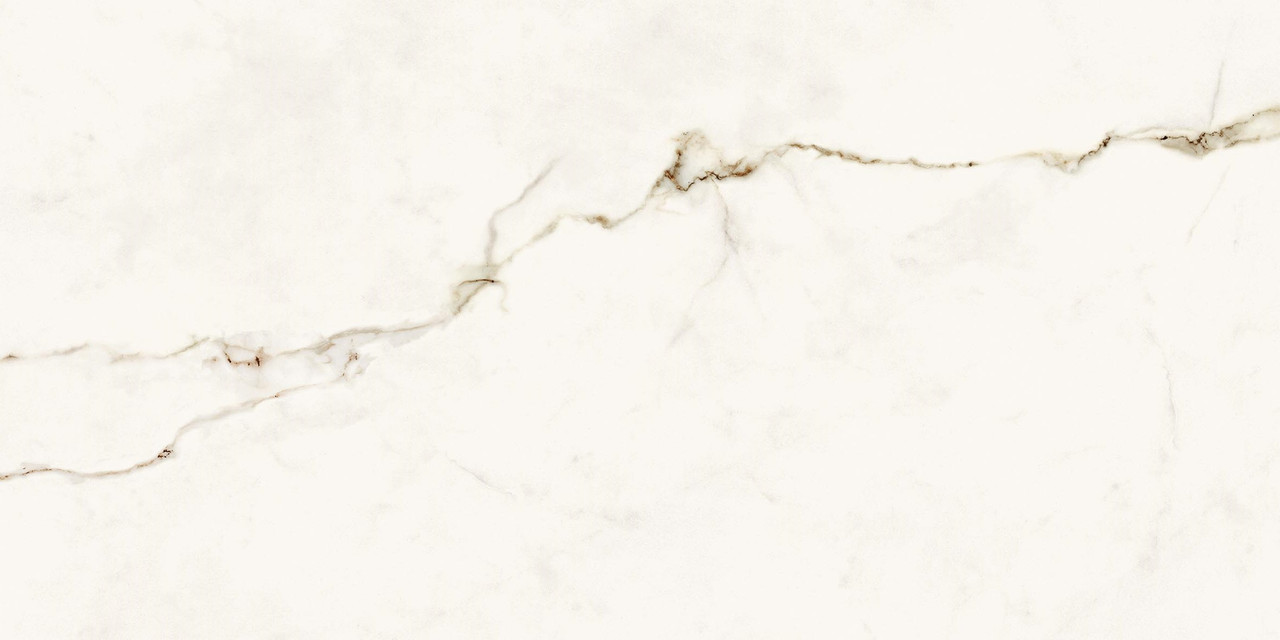 Calacatta Gold Matt 60x120